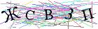 Введите текст с картинки