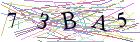 Введите текст с картинки