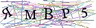 Введите текст с картинки