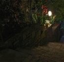 Фото Apartments Herceg Novi