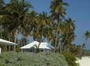 Фото Emerald Palms