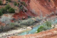 Дорога Zion Canyon Scenic drive  проходит вдоль речки Virgin river.
