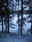 Январь 2009г. Фото с лесной стоянки.