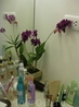 Ванная+душ. Орхидеи и там и тут.