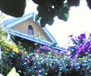 Фото Italian Guesthouse