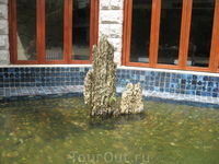 Перед ресторанным отелем "Саке" неглубокий бассейн, в нем злолтые рыбки и камень, на котором растет маленькое деревце. Кстати рыб никто из посетилей не ...