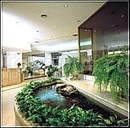 Фото Cambremon