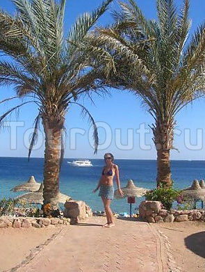 Sharm Inn Amarein