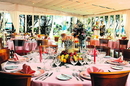 Фото Riu Bonanza Playa