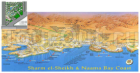 Gold Sharm
