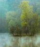 Фото Beau Site