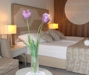 Фото Terme