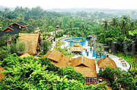 Фото отеля Paradise Rainforest Spa & Resort