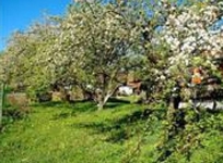 Altes Gehoft Am Lormanberg