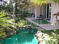 Hotel Dea