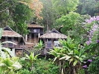 Baan Krating Jungle Beach