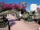 Фото Sharm Club