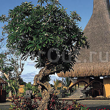 The Oberoi Mauritius