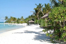 Sheraton Maldives Full Moon Resort & Spa