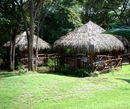 Фото Occidental Grand Papagayo