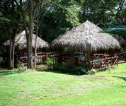 Occidental Grand Papagayo