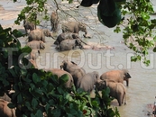 Сидели в ресторане и наблюдали! Сидели в ресторане и наблюдали!