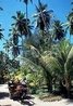 Фото La Digue Island Lodge