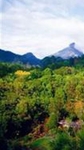 Amazing Wollumbin Palms Retreat Mount Warning