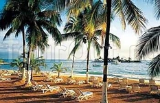Couples Ocho Rios