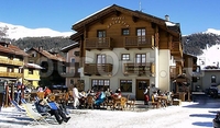 Фото отеля Hotel Helvetia