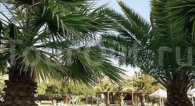 Elounda Palm Boutigue Hotel