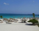 Фото Aruba500