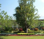 Grand Luang Prabang Hotel and Resort