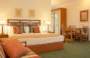 Фото Radisson Treetops Resort