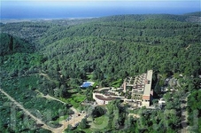 Carmel Forest Spa Resort 