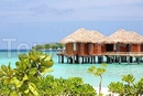 Фото Sheraton Maldives Full Moon Resort & Spa