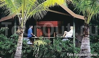 Фото отеля Palm Bungalows