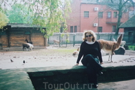 Зоопарк  является  крупнейшим  парком  живой природы в  России. На 17  гектарах площади  зоопарка  обитают  более  2х  тысяч  экземпляров  животных 300 ...