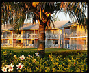 Фото Club Fortuna