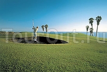 Sheraton La Caleta Resort Sheraton La Caleta Resort