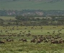 Фото Lemala Ewanjan