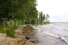 берег северной Онеги.