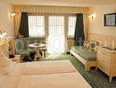 Фото Hotel Sporting Selva Val Gardena 