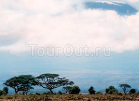 Национальный парк Килиманджаро