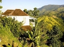 Фото Strawberry Hill