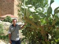 5 сентября. Алания. 5 сентября. Алания.