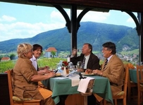 Wine Growers Mansion Zlati Gric