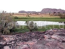 Фото Gagudju Crocodile