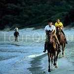 Cruccuris Resort