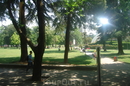Городской парк в Тиране